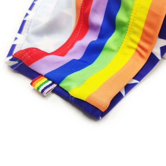 Men's classic speedo pride rainbow flag swim briefs swimsuit plus size L - Picture 8 of 8